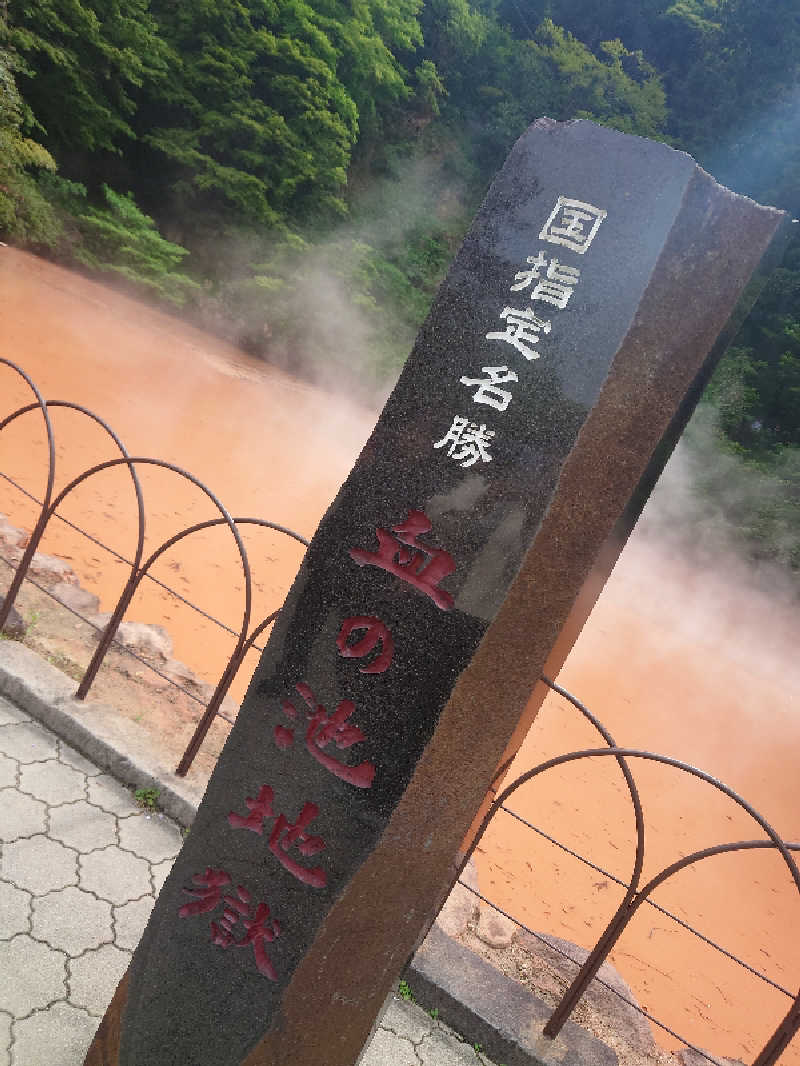 29🔥37(フクサウナ)さんの別府鉄輪温泉やまなみの湯のサ活写真