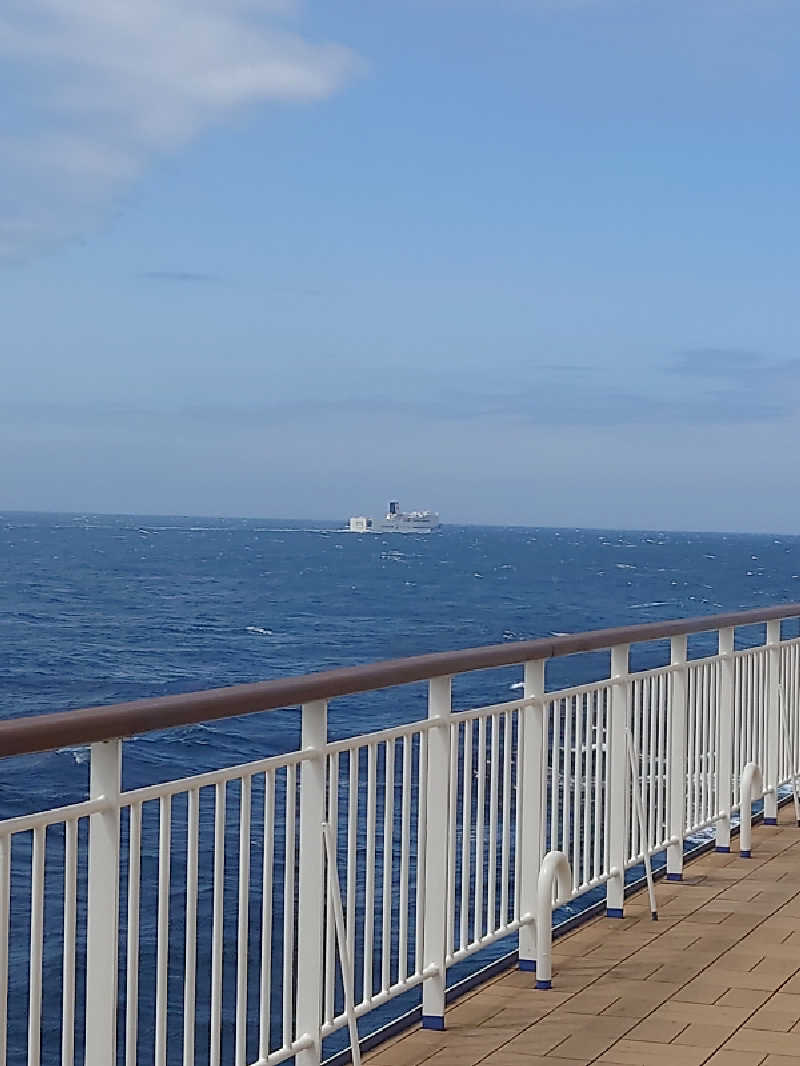 2937さんのそれいゆ(東京九州フェリー)のサ活写真