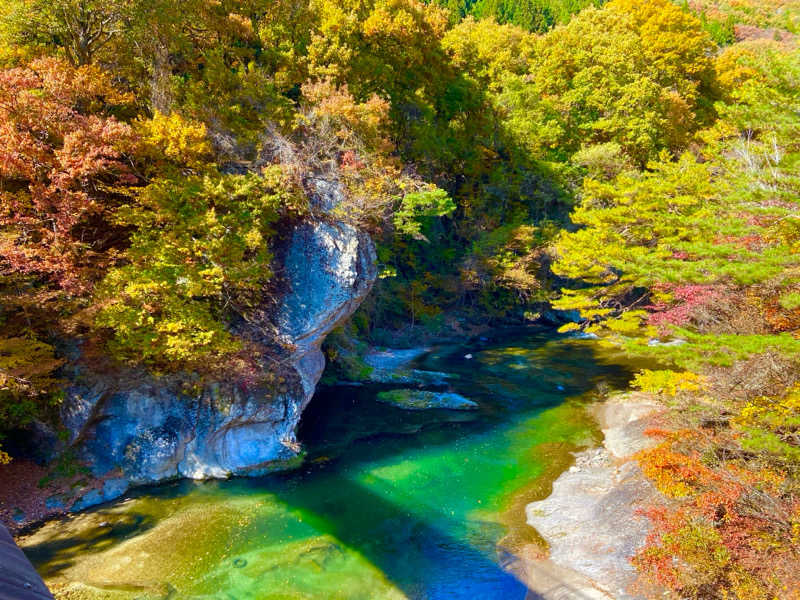 maasanさんの花の駅・片品 花咲の湯のサ活写真