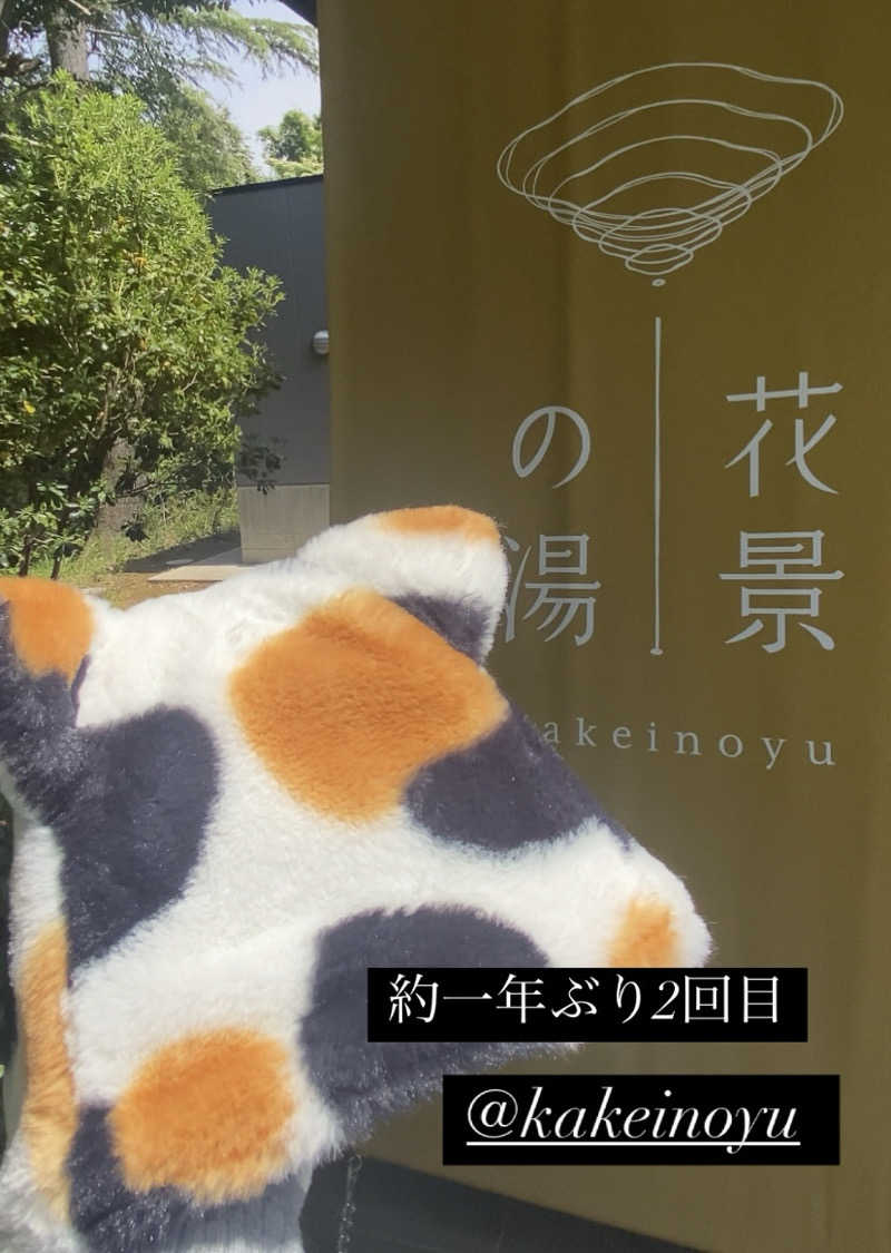 Meroさんのよみうりランド眺望温泉 花景の湯のサ活写真