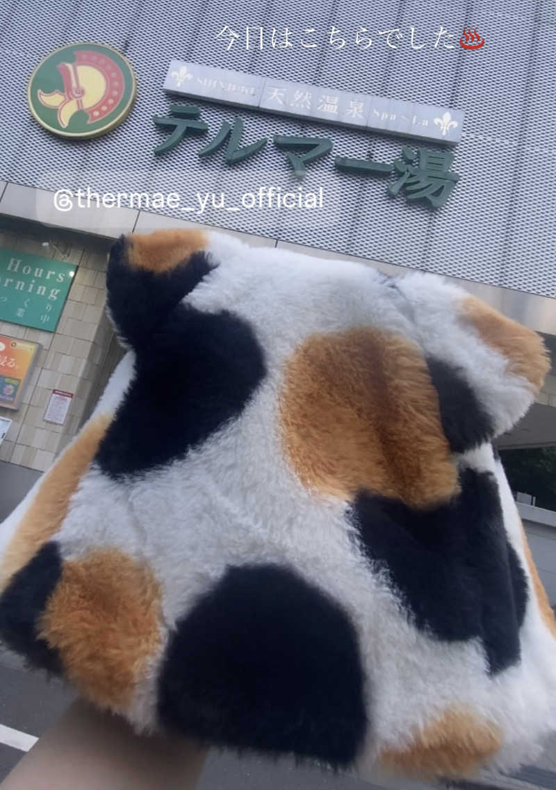 Meroさんの新宿天然温泉 テルマー湯のサ活写真