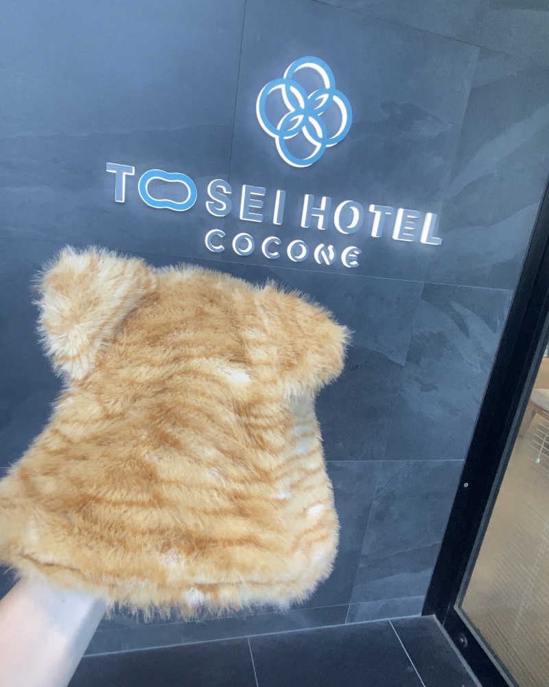 Meroさんのトーセイホテル ココネ築地銀座プレミアのサ活写真