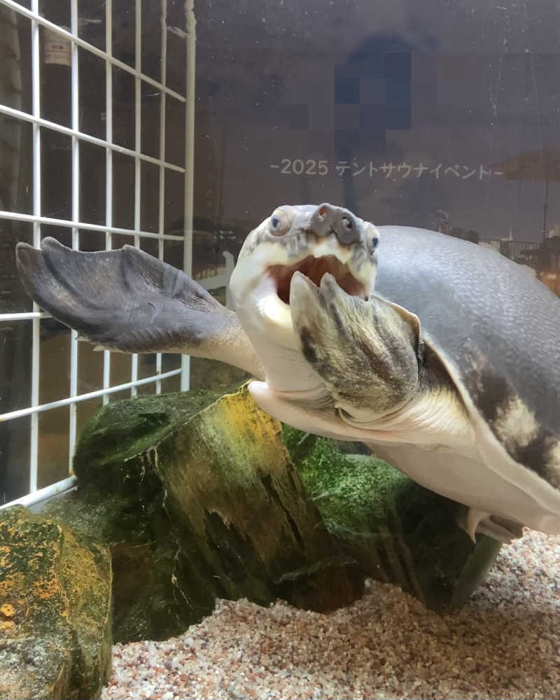 Meroさんの松本湯のサ活写真