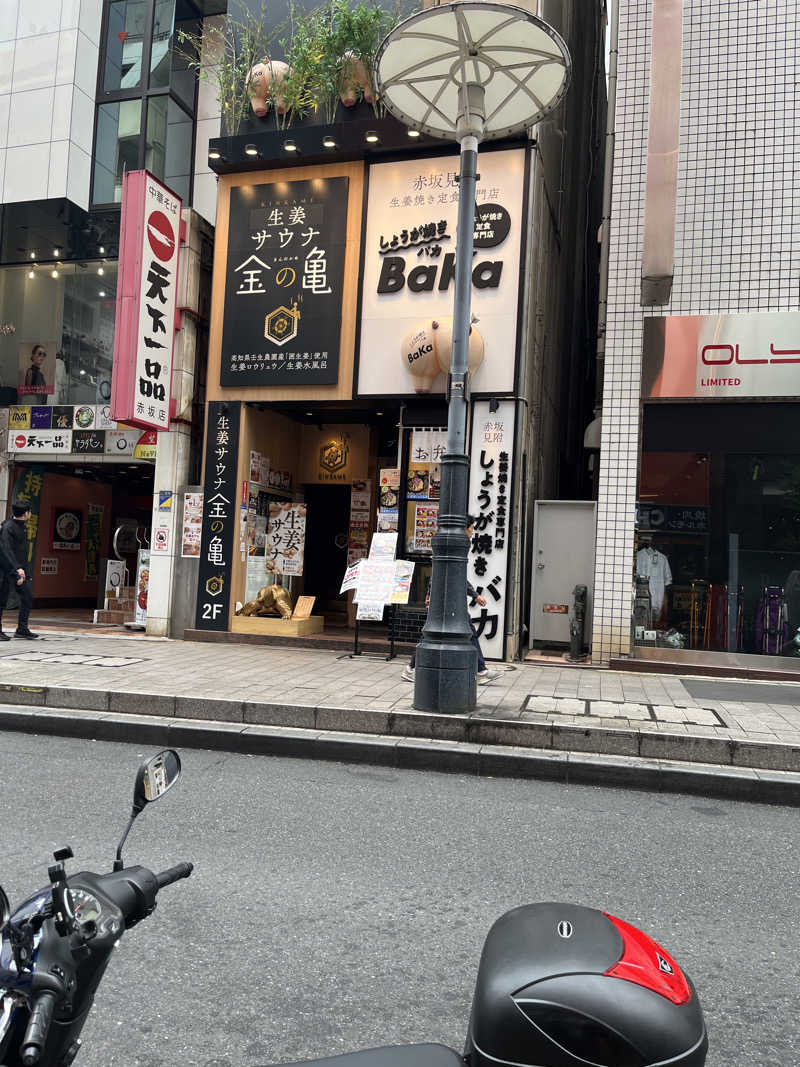 こ～へ～隊長さんの生姜サウナ 金の亀のサ活写真