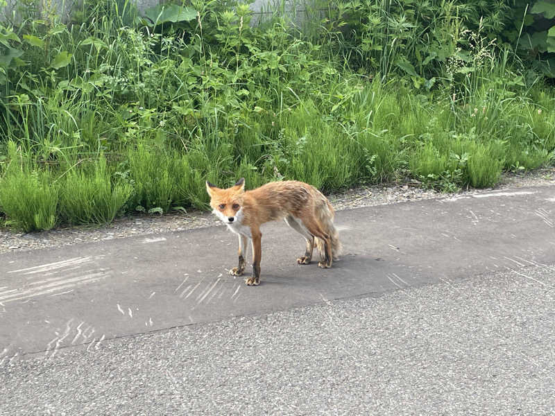 Tomoさんの北こぶし知床 ホテル&リゾートのサ活写真