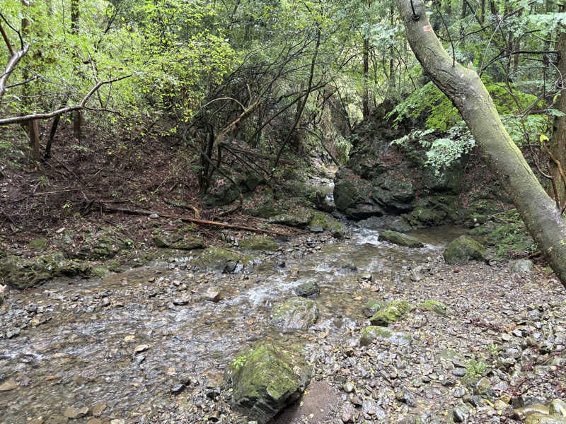 それは部としての総意ですか？さんの深澤渓 自然人村のサ活写真