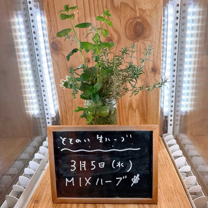 こうさんの各務原 恵みの湯のサ活写真