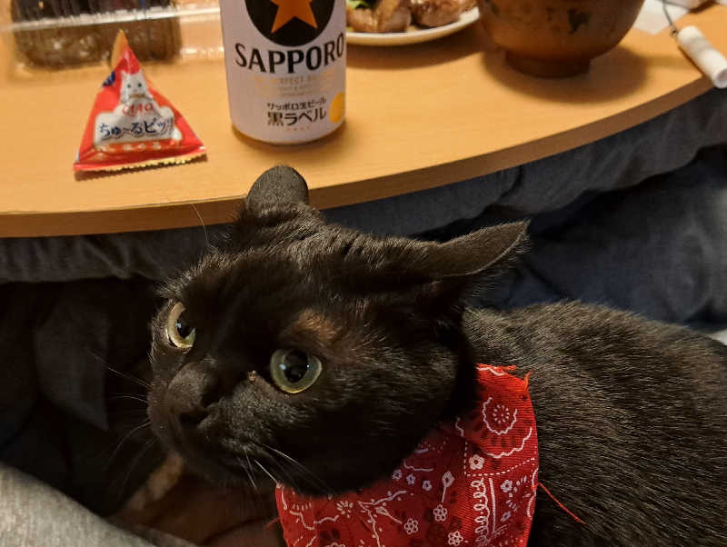 asobibu16さんの長喜温泉のサ活写真