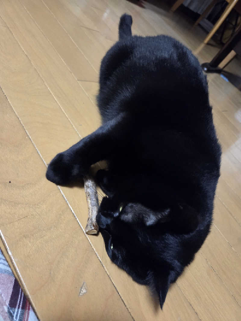 asobibu16さんの土岐 よりみち温泉のサ活写真