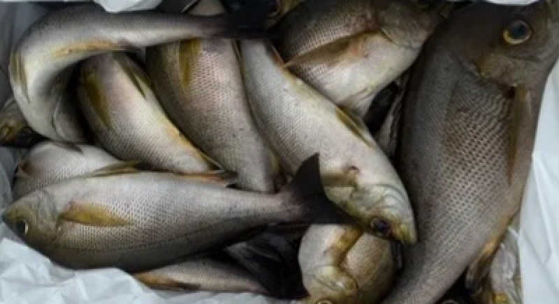 asobibu16さんの長喜温泉のサ活写真