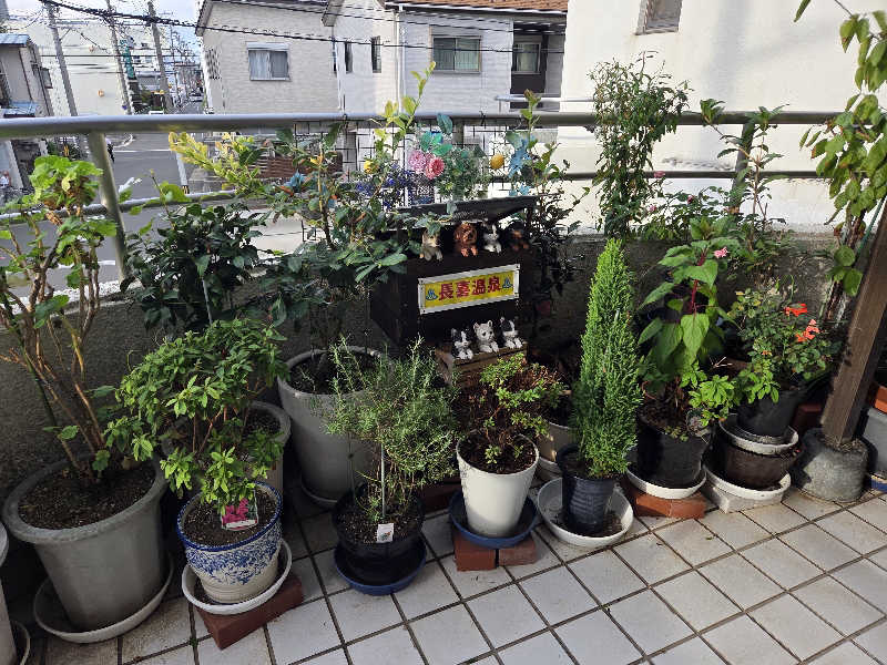 asobibu16さんの長喜温泉のサ活写真