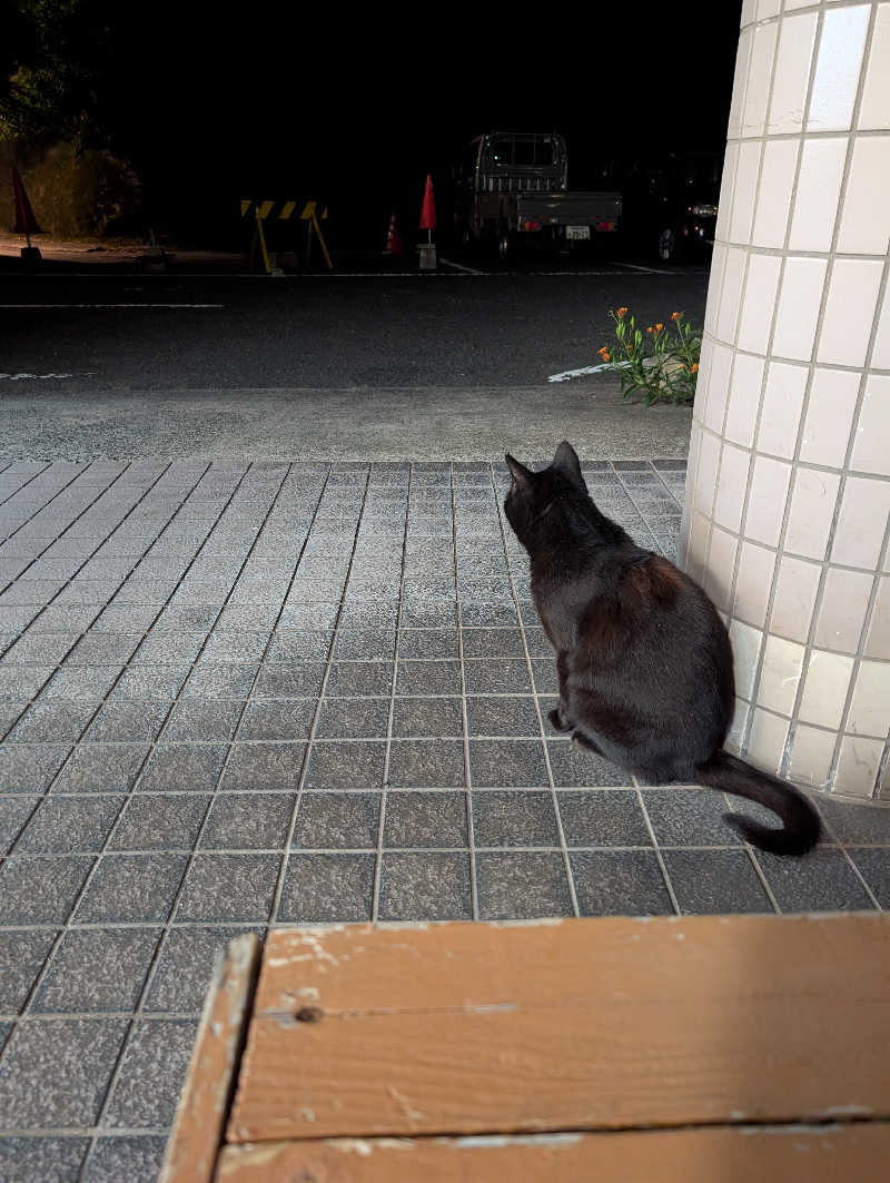 にーさん23さんのホテル太平温泉のサ活写真