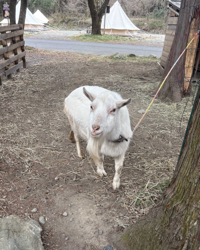 かなさんのCOMORIVER(コモリバ)のサ活写真