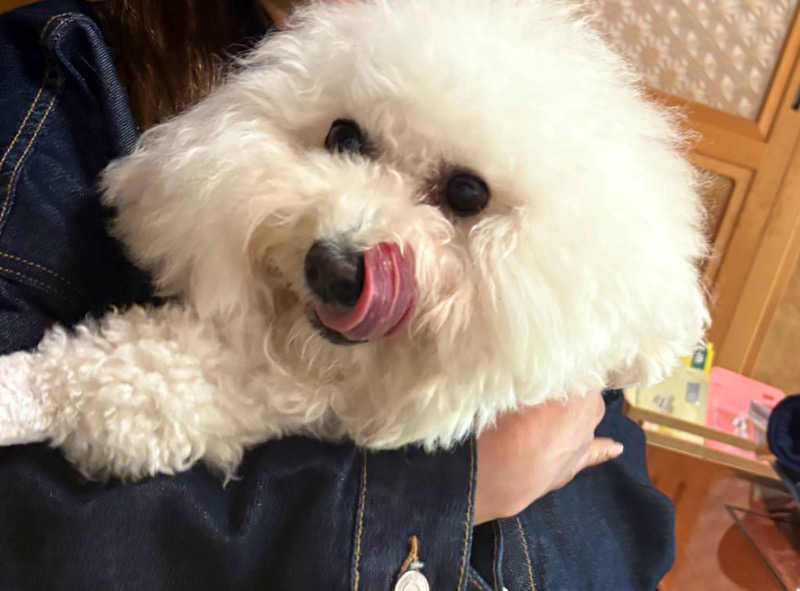 かなさんの鹿とサウナのサ活写真