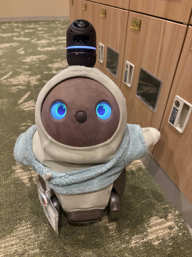 かなさんのSPA&ごはん ゆるうむ yuluumuのサ活写真