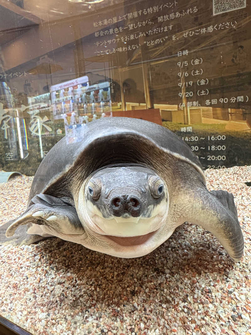 かなさんの松本湯のサ活写真