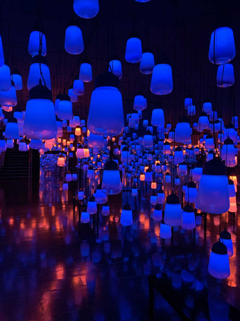 犬さんの御船山楽園ホテル  らかんの湯のサ活写真