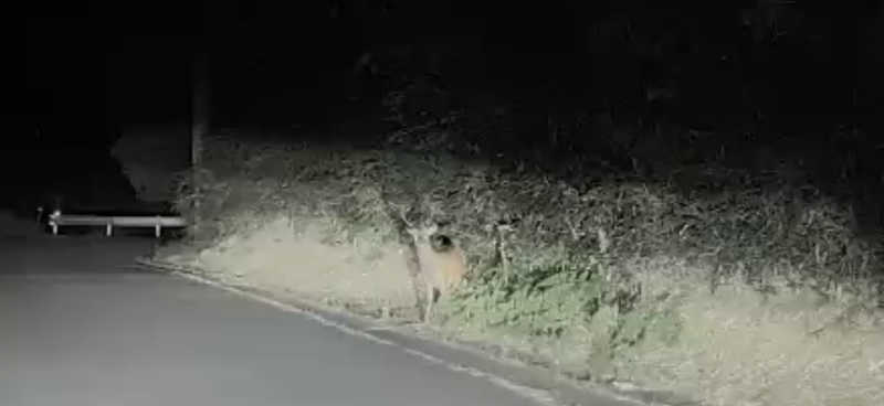 サウナゾンビ🫧さんのZAKIOKA SAUNAのサ活写真