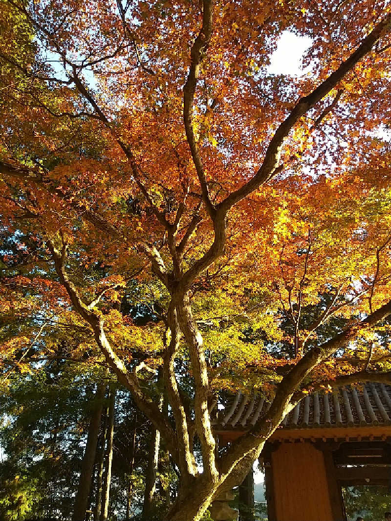 ぬまっちさんの筑紫野 天拝の郷のサ活写真