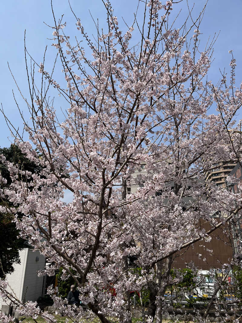 ;-)ruruさんの東京豊洲 万葉倶楽部のサ活写真