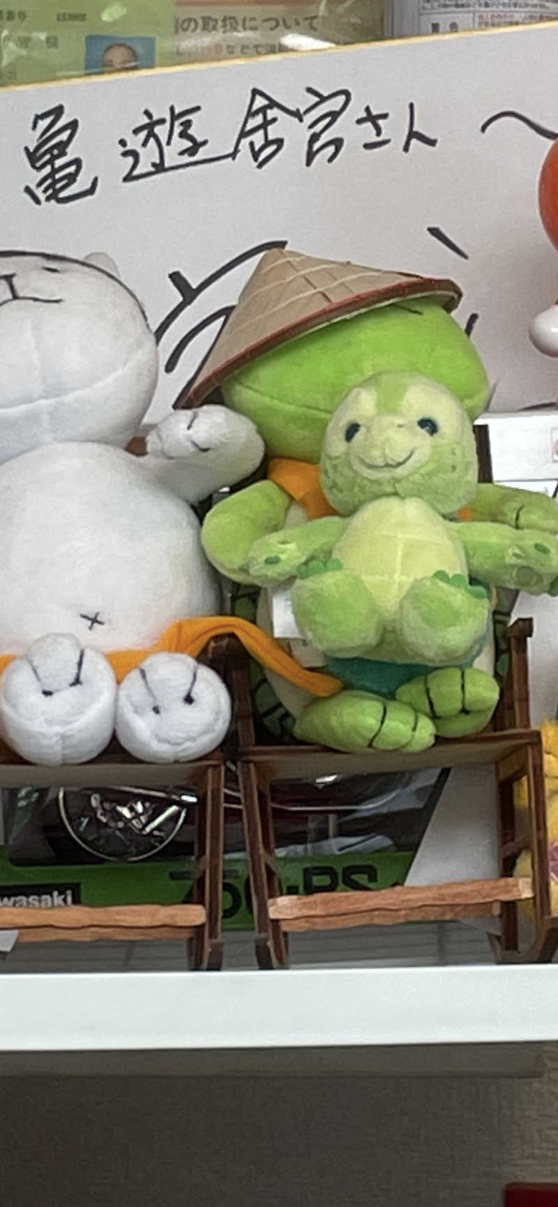 accoさんの亀遊舘のサ活写真