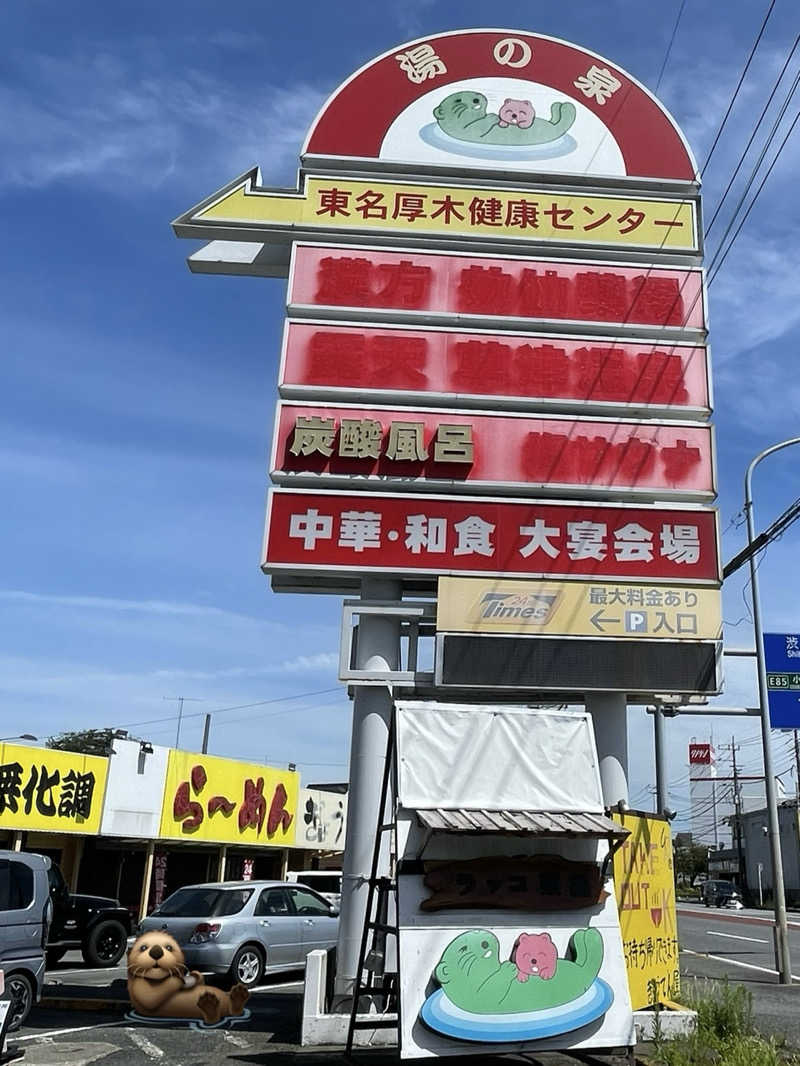 accoさんの湯乃泉 東名厚木健康センターのサ活写真