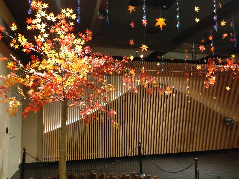 ゲロ福さんの木の花の湯(HOTEL CLAD)のサ活写真