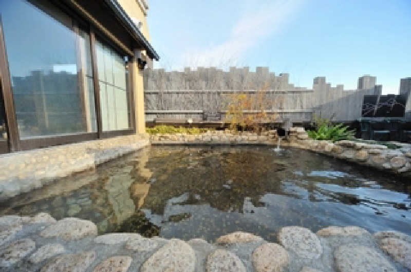 將さんの甲斐路の湯 ドーミーイン甲府のサ活写真