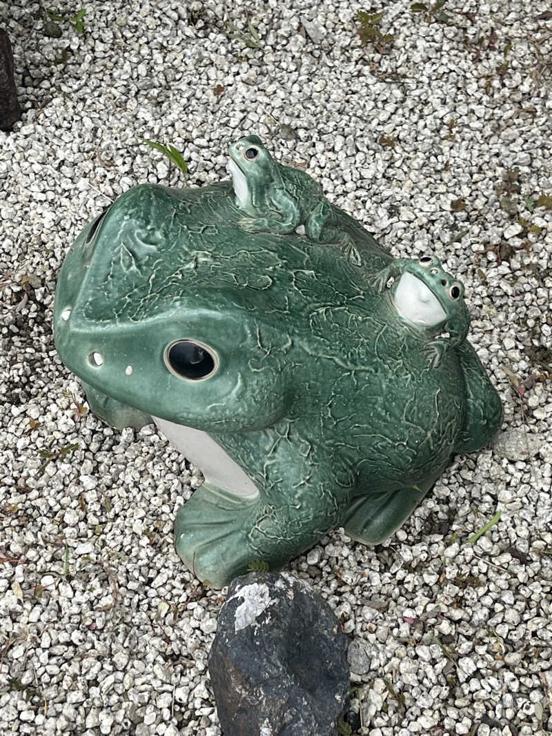 そるとさんの豊田挙母温泉 おいでんの湯のサ活写真