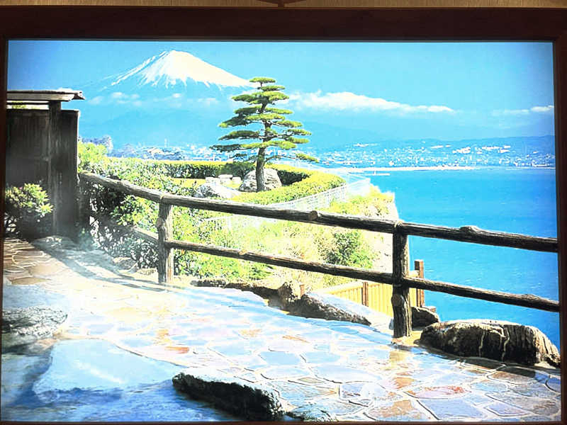 そるとさんの焼津温泉 ホテルアンビア松風閣のサ活写真