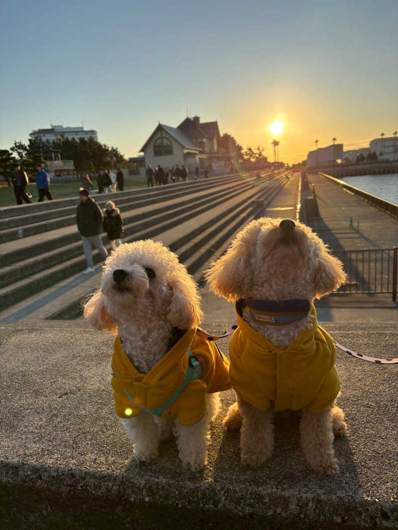 あおりんごりらさんのジェームス山天然温泉 月の湯舟のサ活写真