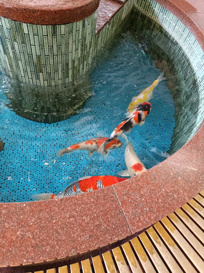 しこいちさんの夢の公衆浴場 五色のサ活写真