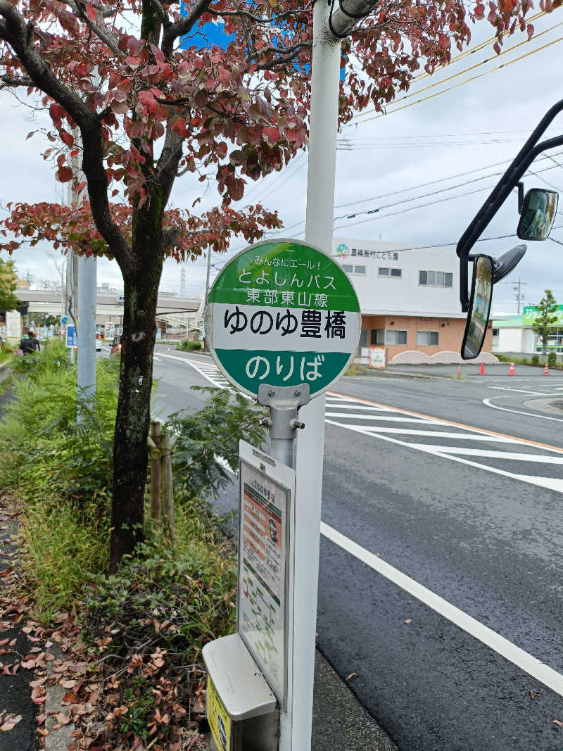 しこいちさんのゆのゆ TOYOHASHIのサ活写真