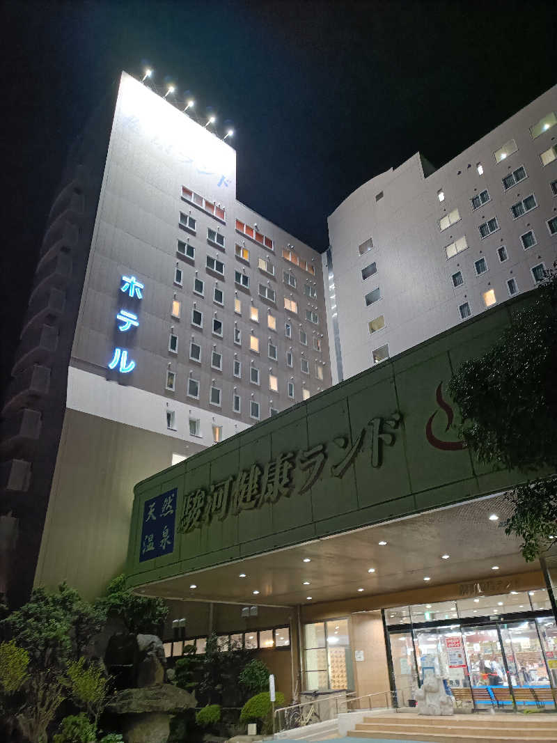 しこいちさんの駿河健康ランドのサ活写真