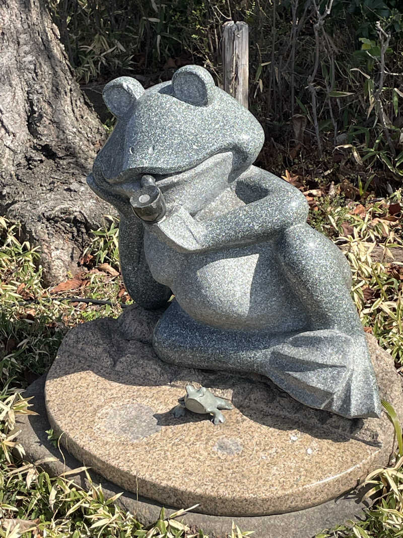 大浜佑介さんの天然温泉 真名井の湯 大井店のサ活写真