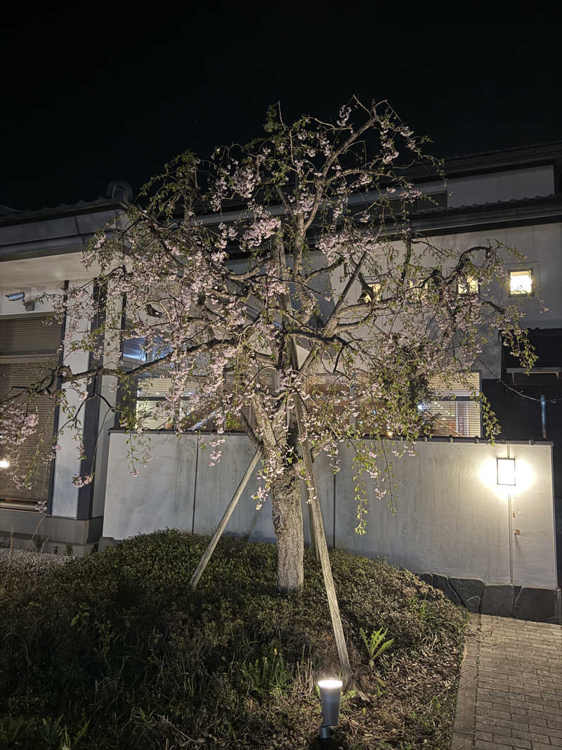 ヘイポーさんの宮の街道温泉 江戸遊のサ活写真