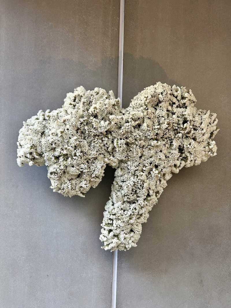 エスパーさんの渋谷SAUNASのサ活写真