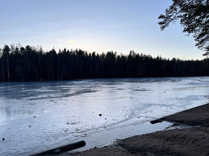 蒸猿さんのCafe Kuusijärviのサ活写真