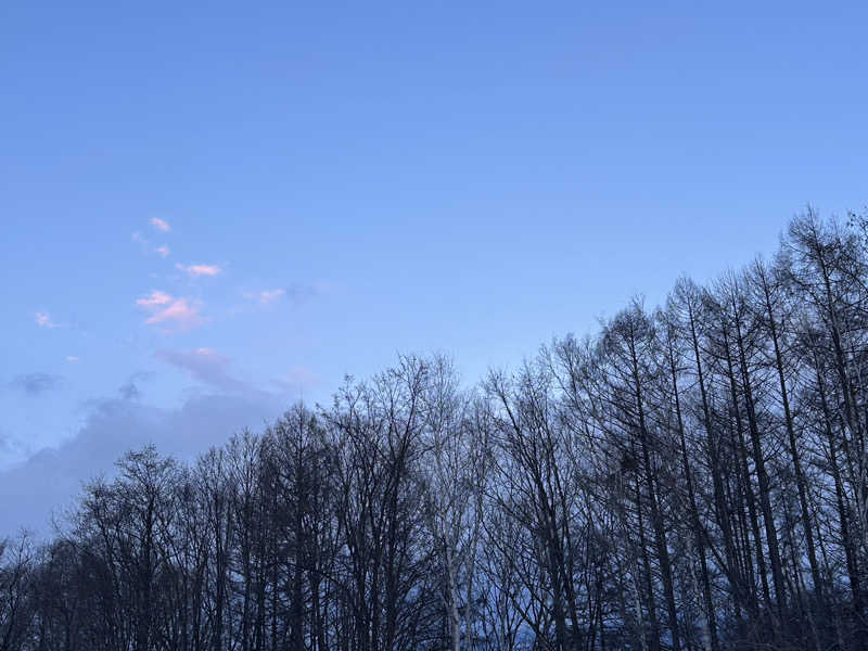 たまごボーロさんの天然温泉 万華の湯 (ふらのラテール)のサ活写真