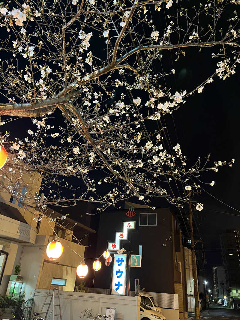 YUJIさんの富美の湯 (ふみのゆ)のサ活写真