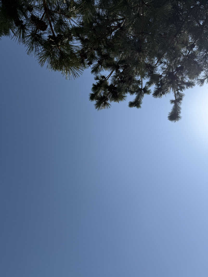 もふもふさんの青木煮豆店のサ活写真