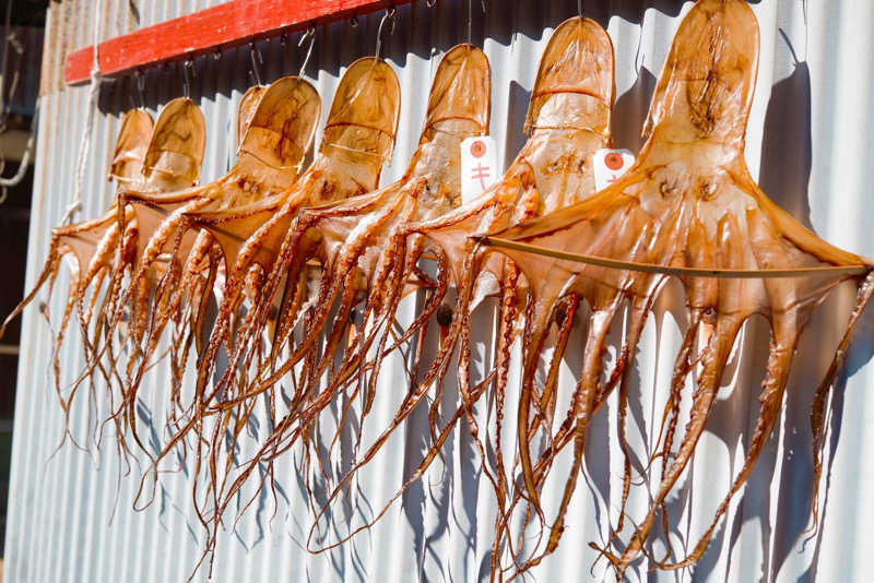ずみりんさんのKINOSUKE  日間賀島 島のサウナのサ活写真