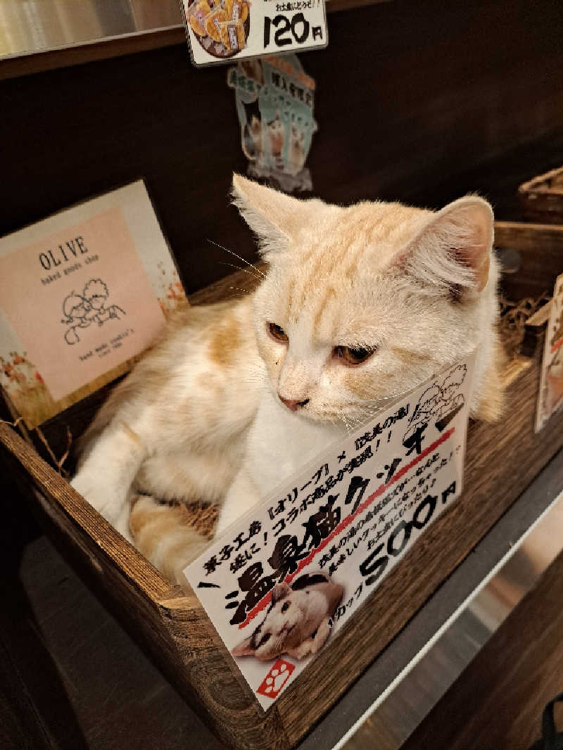 CHIHARUさんの行田・湯本天然温泉 茂美の湯のサ活写真