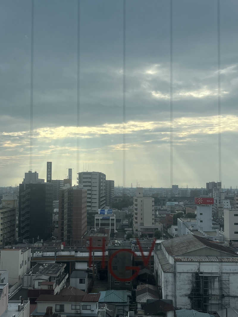 わいおかさんのホテルグランビュー高崎のサ活写真