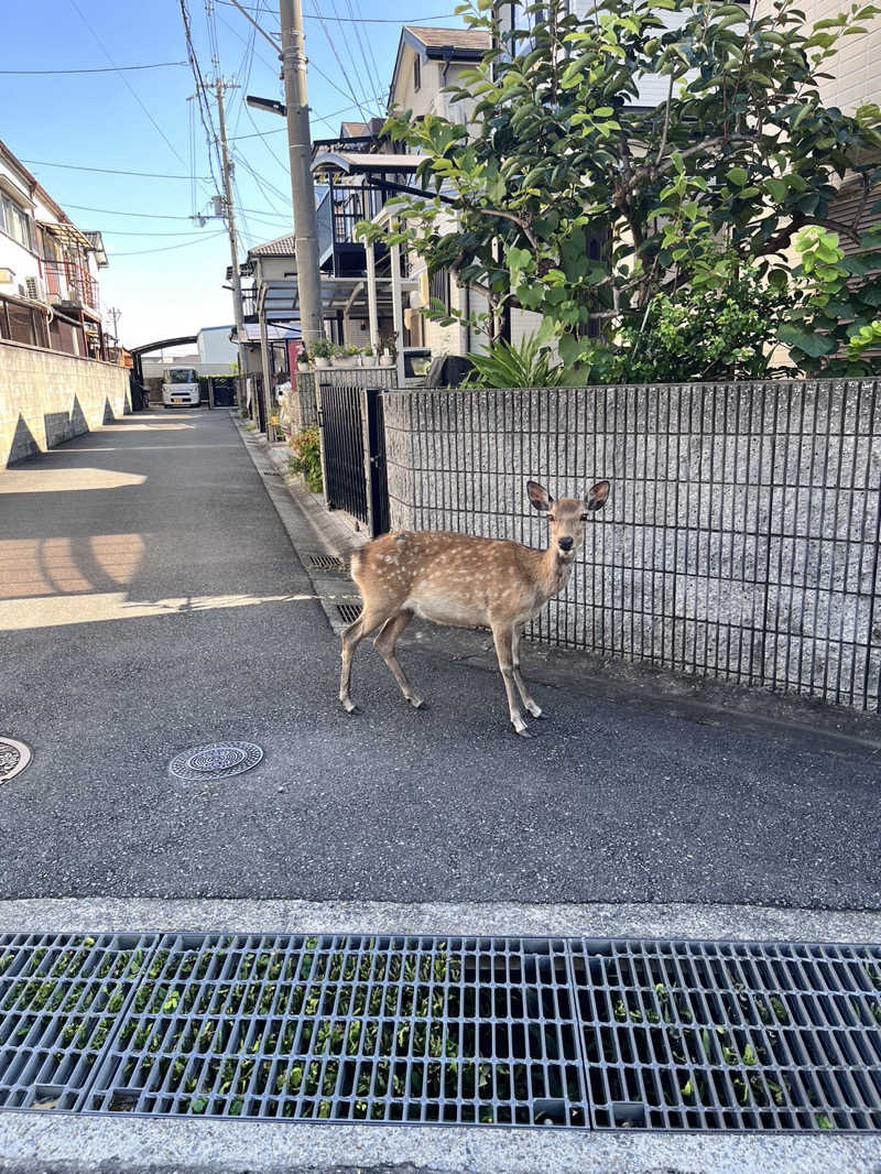 タジヤマ　ヒコヤスさんのほてい湯のサ活写真