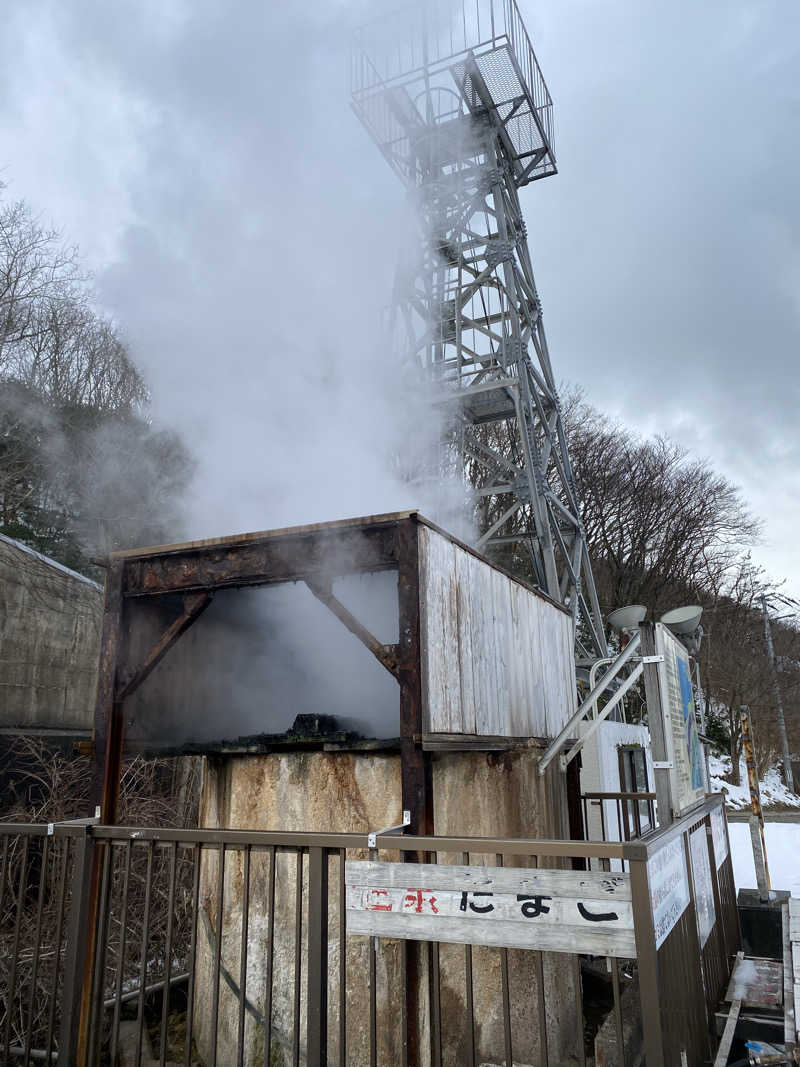 名も無き数寄者さんの大江戸温泉物語 Premium 汐美荘のサ活写真