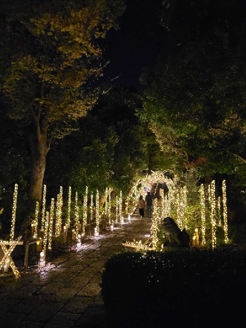 ゆさんのよみうりランド眺望温泉 花景の湯のサ活写真