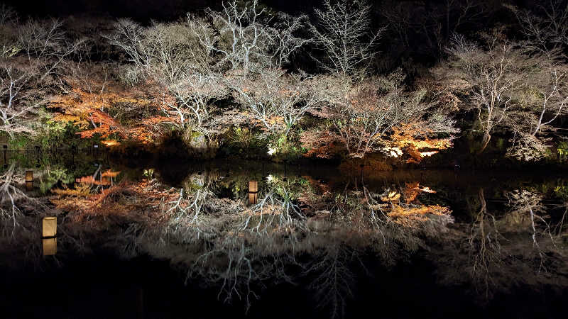 hagiさんの御船山楽園ホテル  らかんの湯のサ活写真