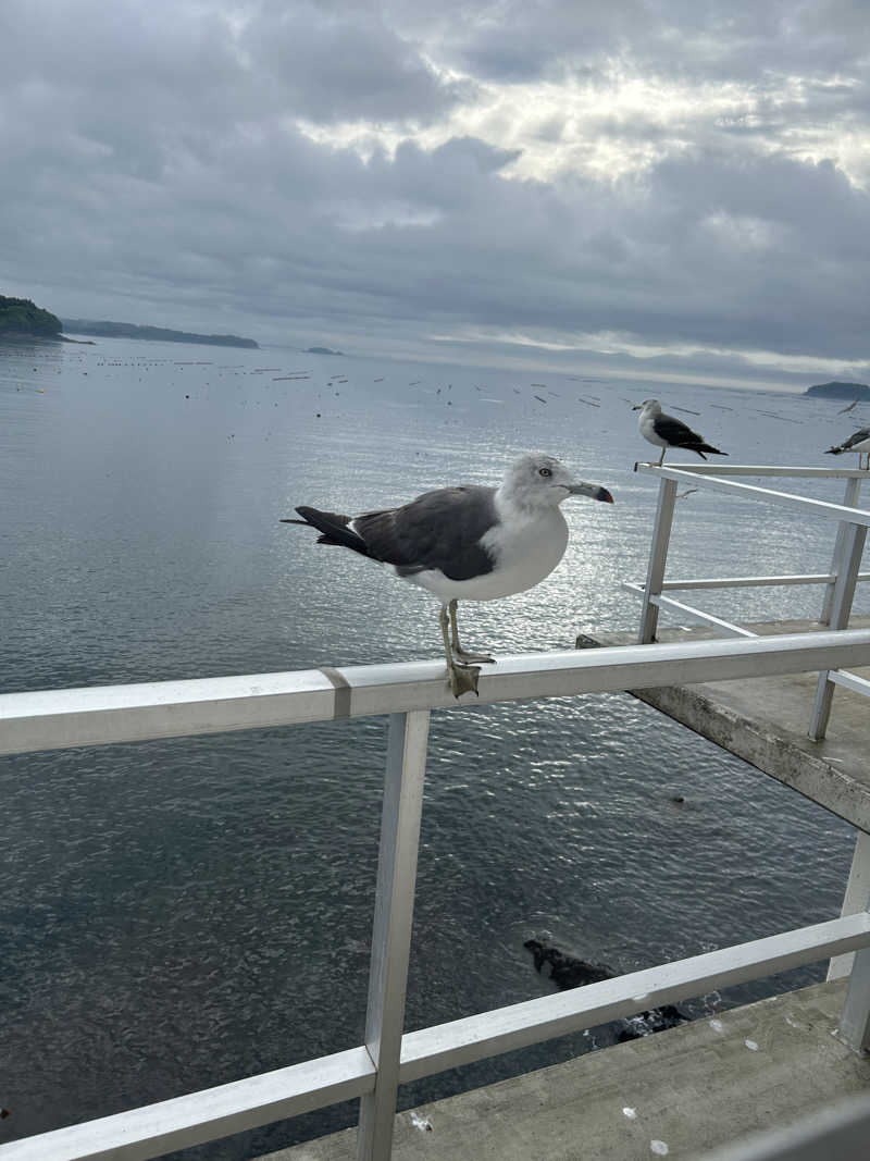 豆豆さんの南三陸ホテル観洋のサ活写真