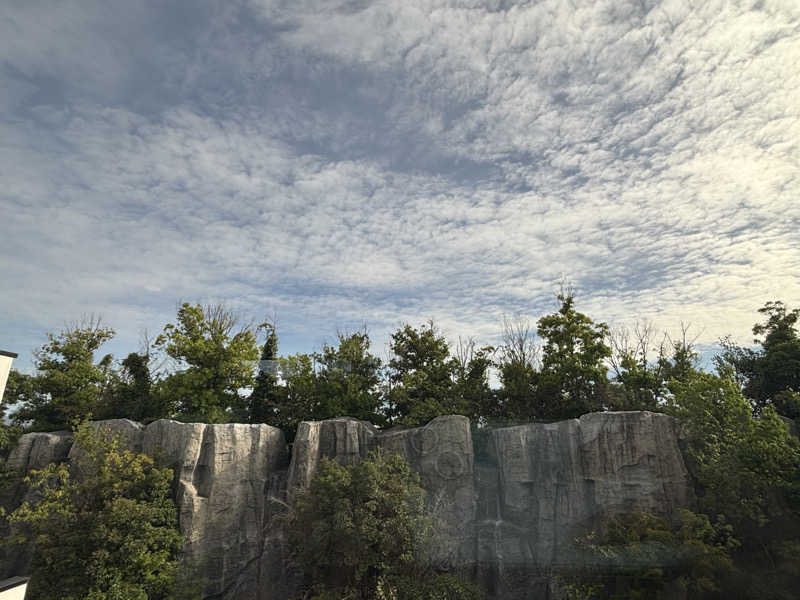 🇫🇮たいしんまん🇫🇮さんの虹の湯大阪狭山店のサ活写真